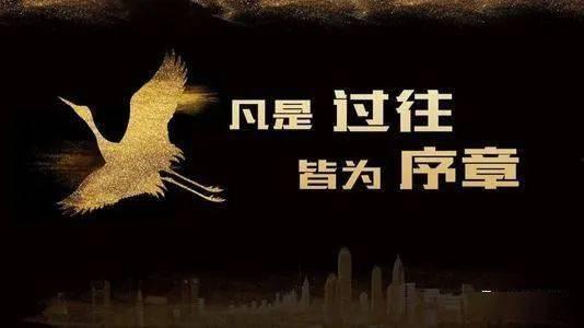 一切过往皆为序章,探寻历史与未来的交织