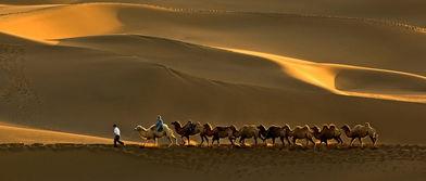 沙漠驼影,穿越无尽沙海的传奇之旅