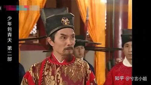 少年包拯,智慧少年，正义之光