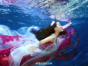 鱼美人,一场跨越水与岸的哲学之旅